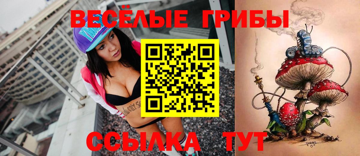 Псилоцибиновые грибы Magic Shrooms Алейск