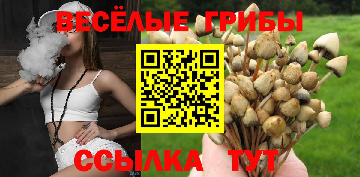Галлюциногенные грибы мицелий  Галлюциногенные грибы прущие грибы  Вход с VPN  Алейск 